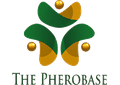 Insectomics Base logo
