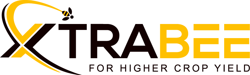 XtraBee logo
